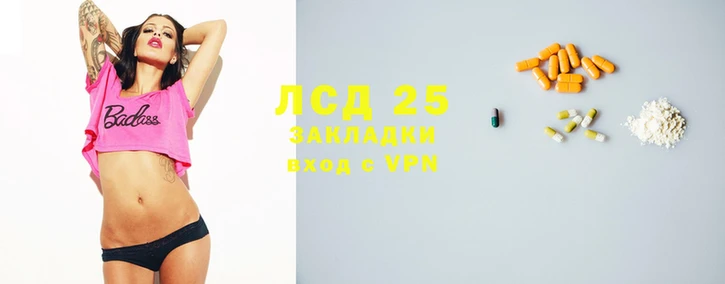 молекула духа Богданович
