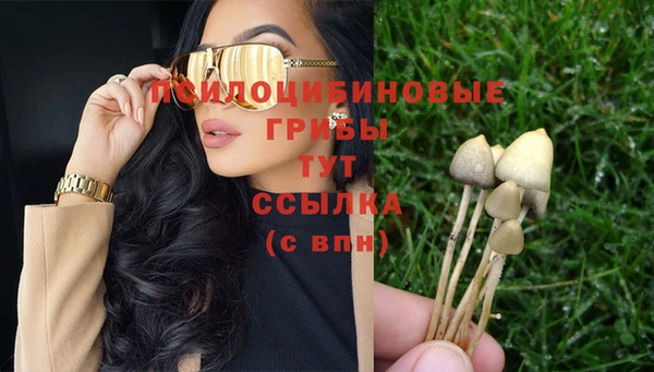 спайс Богородицк