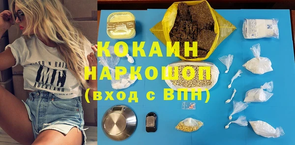 молекула духа Богданович
