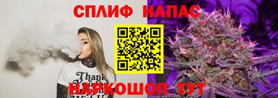 мяу мяу мука Ефремов