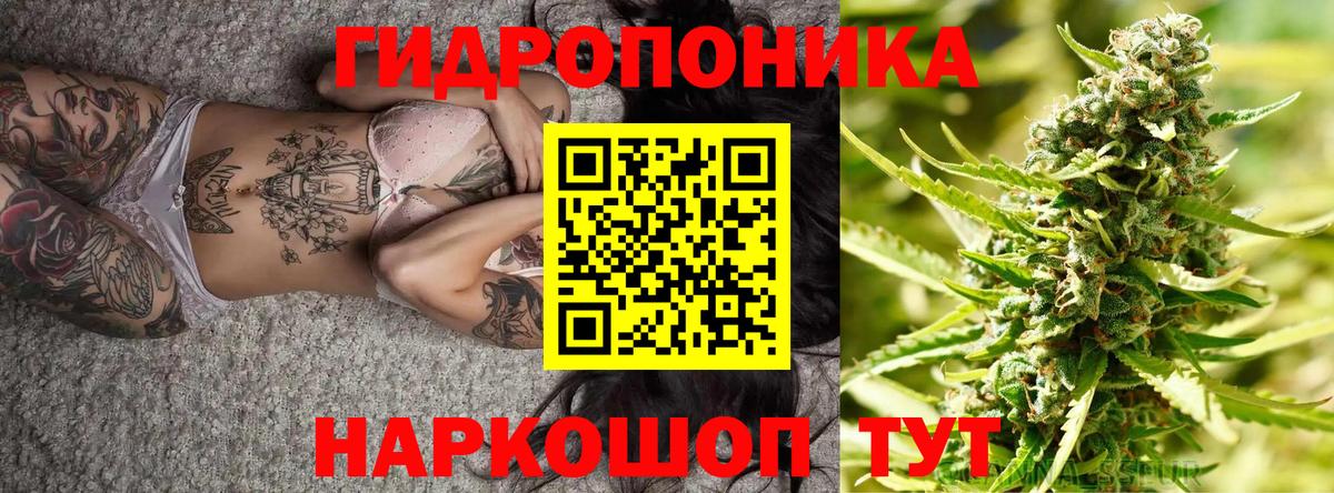 Каннабис семена  Вход с VPN  Канабис тримм  Бошки марихуана ГИДРОПОН  Пятигорск 